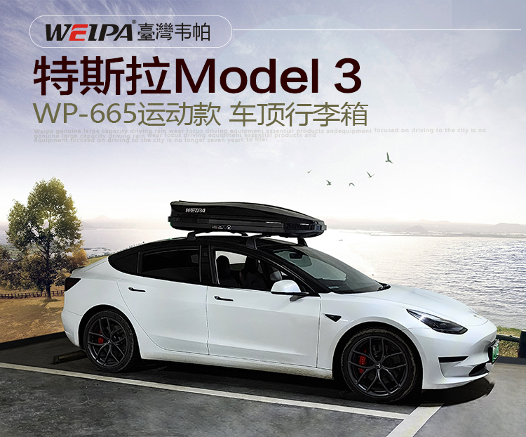 特斯拉Model-3安装 韦帕WEIPA运动款450L车顶行李箱