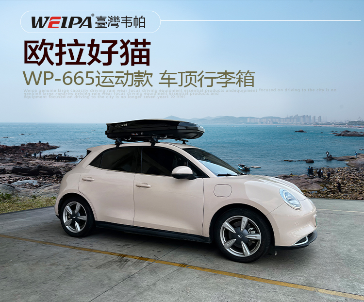 欧拉好猫安装 韦帕WEIPA运动款450L车顶行李箱